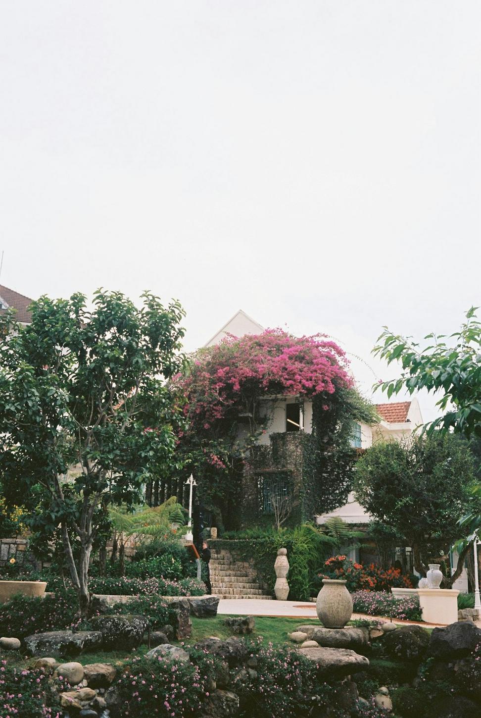 Courtyard Garden Home