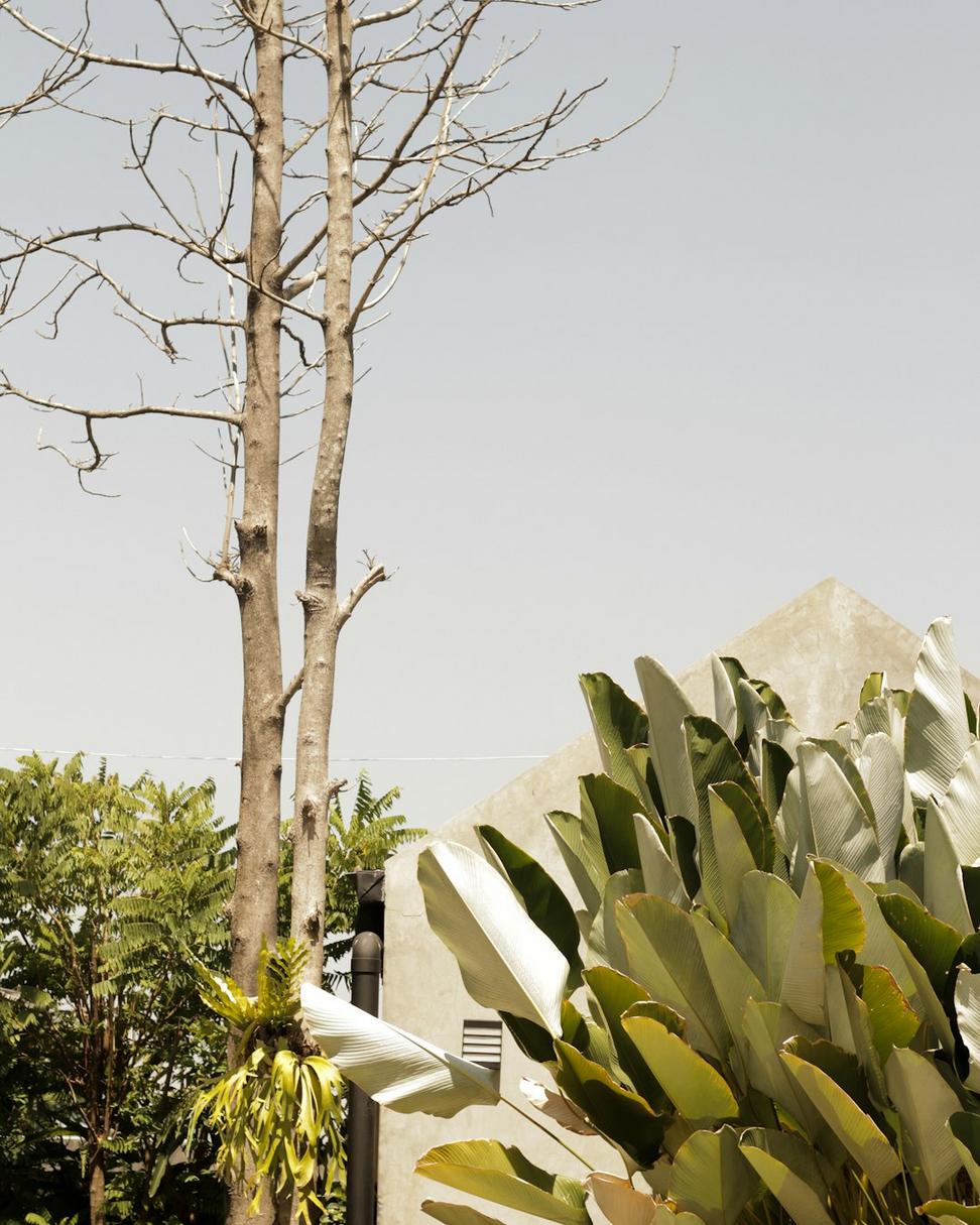 Minimalist Suburban Home